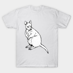 Tasmanian Pademelon T-Shirt